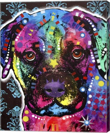 Framed Young Bull Mastiff Print