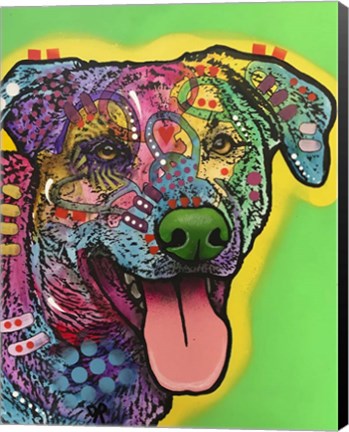 Framed HawkEye Print