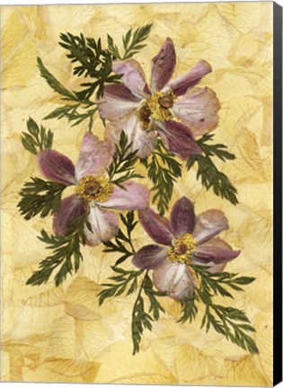 Framed Anemones Print