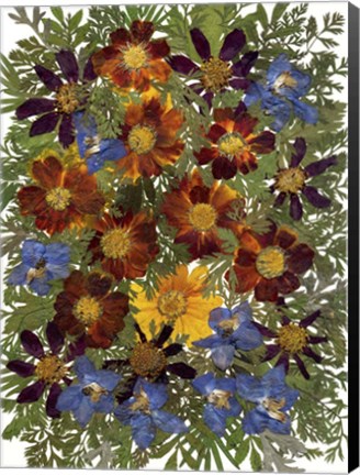 Framed Dried Flowers 1 Print