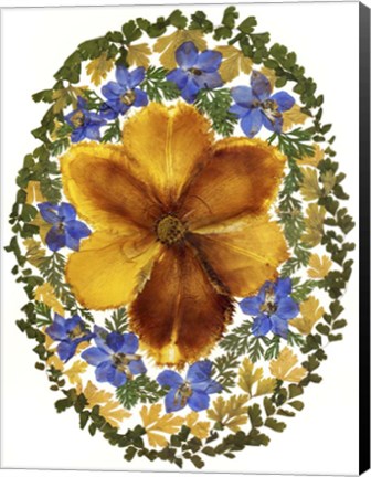 Framed Dried Flowers 2 Print