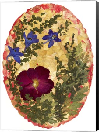 Framed Dried Flowers 3 Print