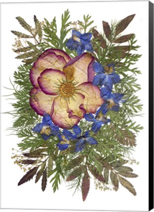Framed Flower Fantasy 9 Print