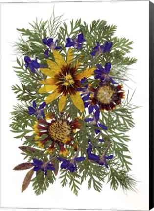 Framed Flower Fantasy 10 Print