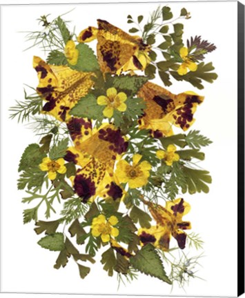 Framed Flower Fantasy 13 Print