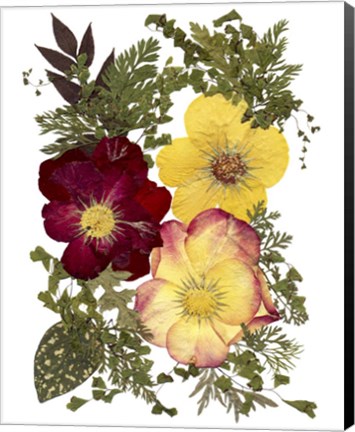 Framed Flower Fantasy 15 Print