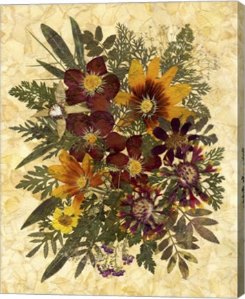 Framed Flower Fantasy 16 Print
