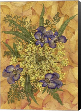 Framed Flower Fantasy 20 Print