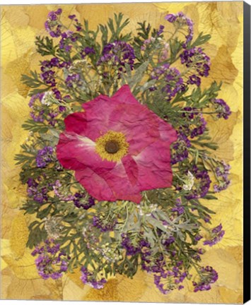 Framed Flower Fantasy 21 Print