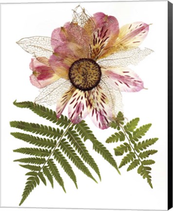 Framed Flower Fantasy 22 Print