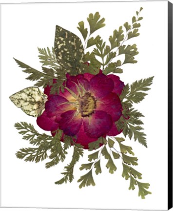 Framed Flower Fantasy 23 Print