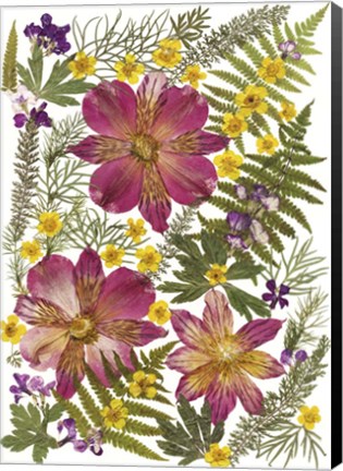 Framed Flower Fantasy 31 Print