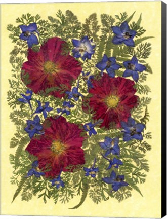 Framed Flower Fantasy 32 Print
