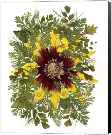 Framed Flower Fantasy 33 Print