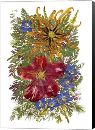 Framed Flower Fantasy 35 Print