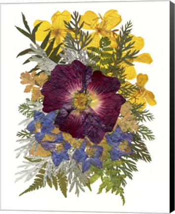 Framed Flower Fantasy 36 Print
