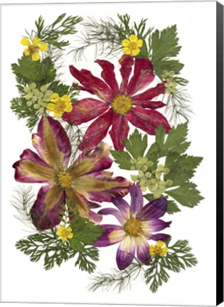 Framed Flower Fantasy 39 Print