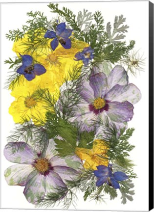 Framed Flower Fantasy 41 Print