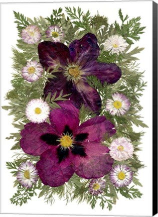 Framed Flower Fantasy 42 Print