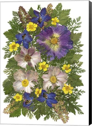 Framed Flower Fantasy 44 Print