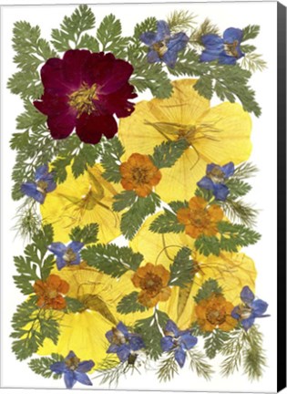 Framed Flower Fantasy 45 Print