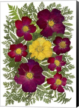Framed Flower Fantasy 46 Print