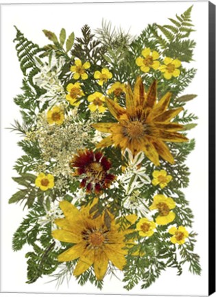Framed Flower Fantasy 47 Print