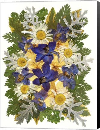 Framed Flower Fantasy 48 Print