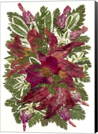 Framed Flower Fantasy 49 Print