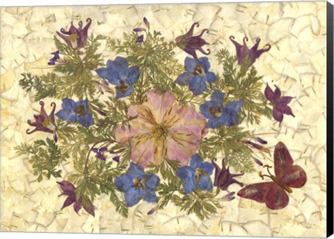Framed Butterfly And Flowers 1 Print