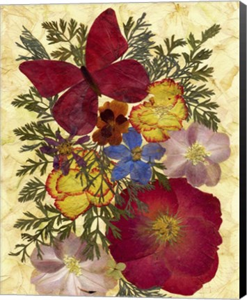 Framed Butterfly And Flowers 2 Print