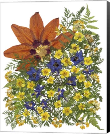 Framed Dried Flowers 4 Print