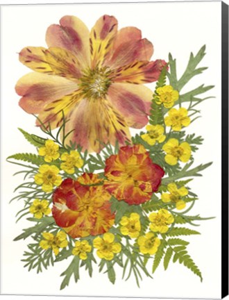 Framed Dried Flowers 5 Print