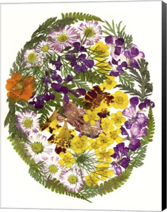 Framed Dried Flowers 6 Print