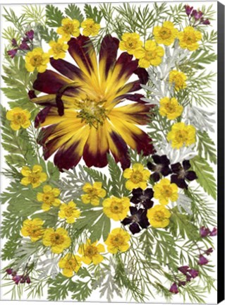 Framed Dried Flowers 7 Print