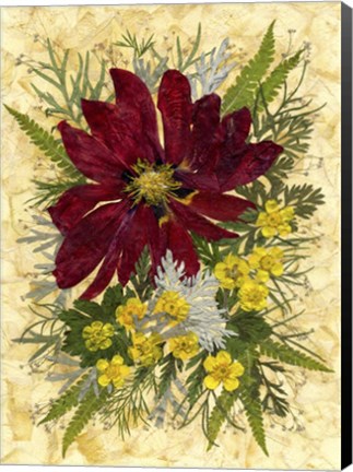 Framed Dried Flowers 8 Print
