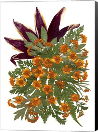 Framed Dried Flowers 9 Print