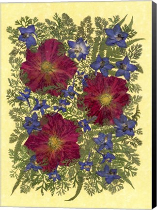 Framed Dried Flowers 10 Print