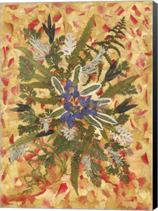 Framed Dried Flowers 12 Print