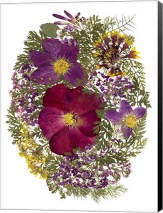 Framed Dried Flowers 13 Print