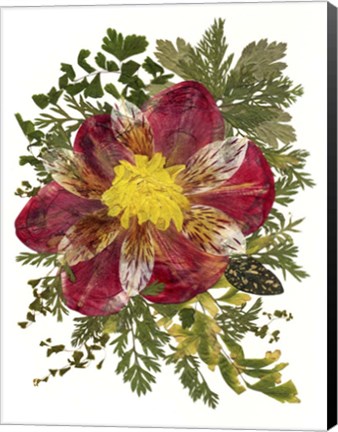 Framed Dried Flowers 18 Print