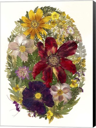 Framed Dried Flowers 20 Print