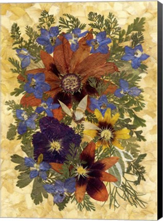 Framed Dried Flowers 21 Print