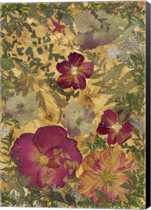 Framed Dried Flowers 22 Print