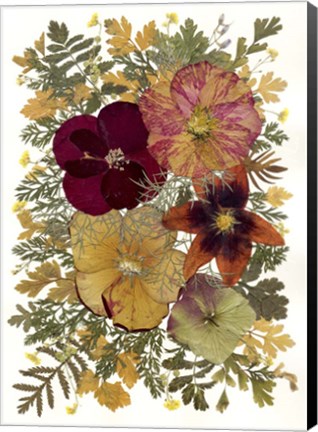 Framed Dried Flowers 23 Print