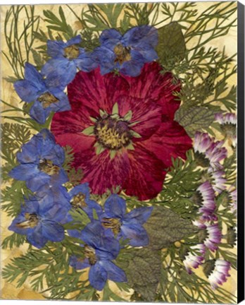 Framed Dried Flowers 24 Print