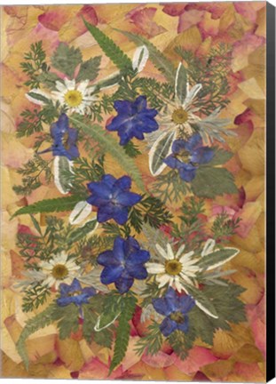 Framed Dried Flowers 25 Print