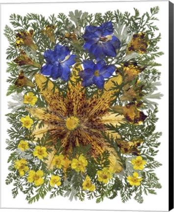 Framed Dried Flowers 26 Print