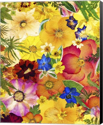 Framed Dried Flowers 27 Print