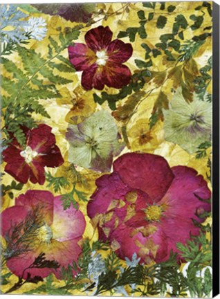 Framed Dried Flowers 28 Print